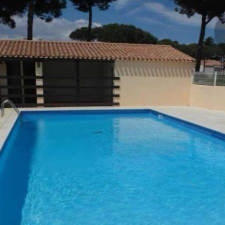 Apt T2/4 Pers/ Rez De Jardin\Pinede\Piscine Agde Exterior foto